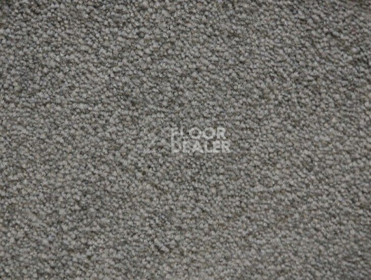 Ковролин Radici Lord Selce 123A фото 1 | FLOORDEALER